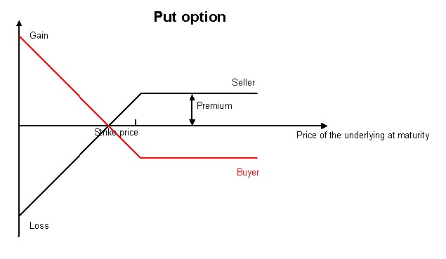 what-is-a-put-option-how-big-short-michael-burry-shorted-tesla